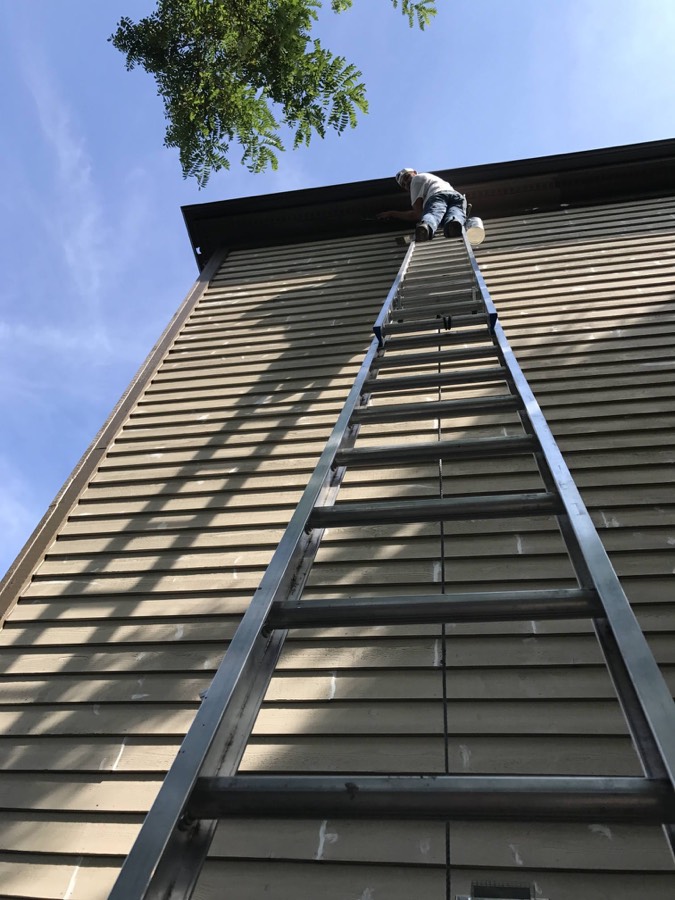 Painter high on an extension ladder repainting siding and soffit